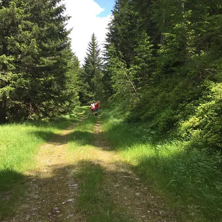 Apartment Bianca Hasler - Stallbauer *