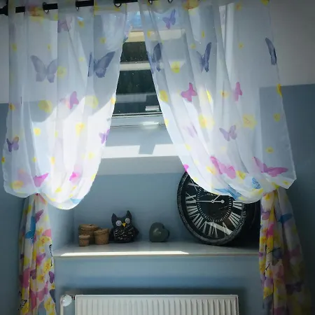 Bianca Hasler - Stallbauer