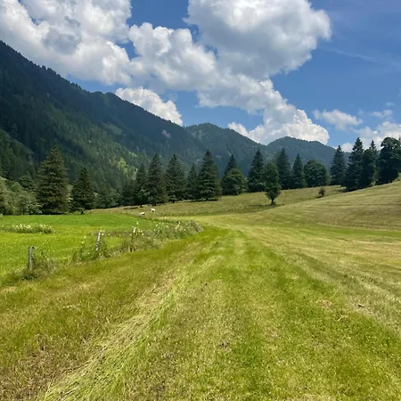 Bianca Hasler - Stallbauer Daire *