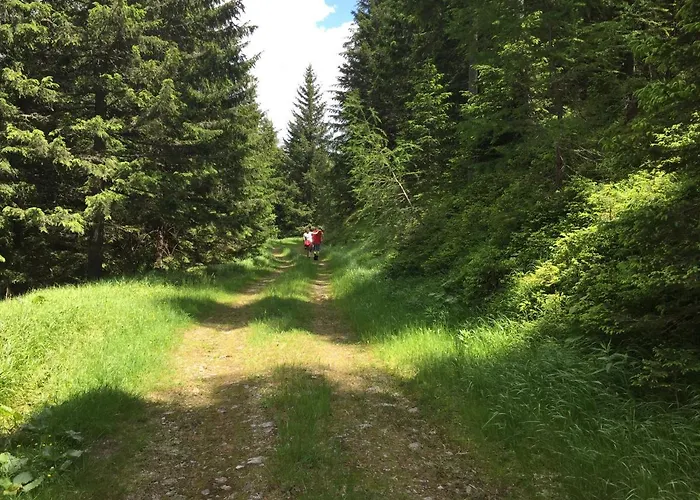 Apartment Bianca Hasler - Stallbauer *