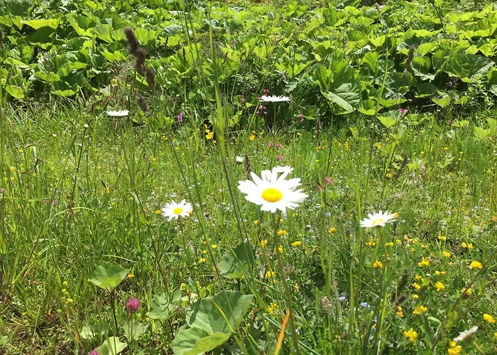 Bianca Hasler - Stallbauer * Pusterwald