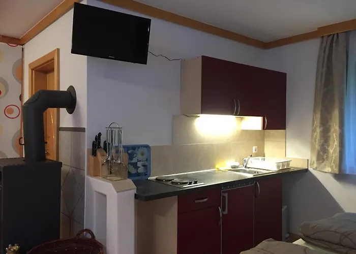 Bianca Hasler - Stallbauer Apartment