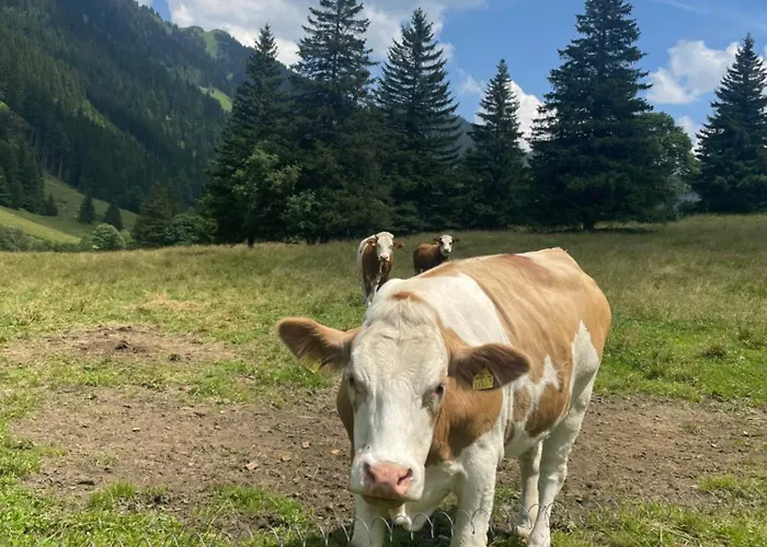 شقة Bianca Hasler - Stallbauer